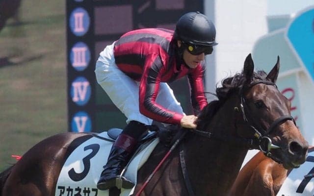 ノーザンファームが新馬戦を制圧！