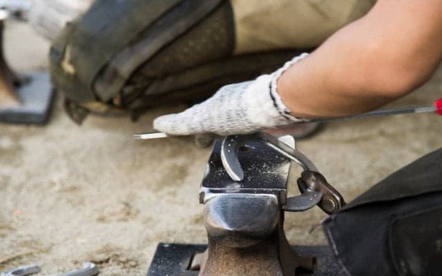 西内荘/装蹄の感触が良かった馬【6/2土曜版】