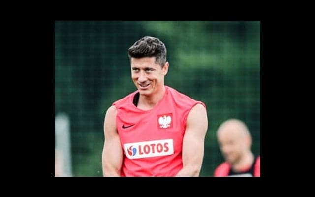 ポーランド人記者がニンマリ。「わが国民はハリル解任を喜んでいる」