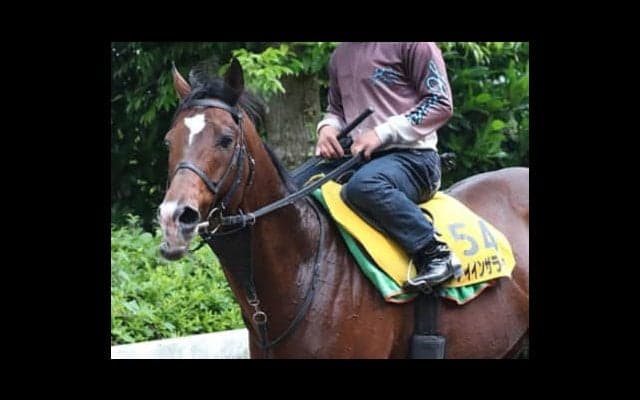 エプソムＣに「ＧＩの負けを取り戻せる、ありがたい３頭」が出走する