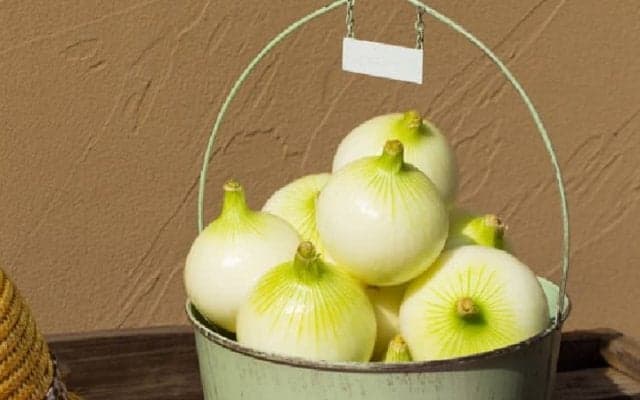 体がだるい･･･身体をリセットしてくれる春野菜をピックアップ！