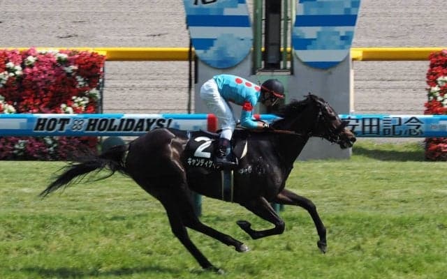 【東京9R/国分寺特別】3歳牝馬で休み明けのキャンディケインが降級馬相手に快勝！