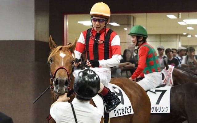 【東京5R/新馬戦】1番人気のウインゼノビアは捕らえきれず2着まで
