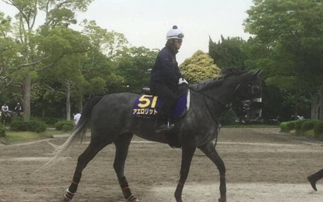 【安田記念】アエロリット まともなら巻き返しも可能