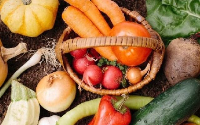 オーガニック食の基礎を学び、生活に上手に取り入れよう！