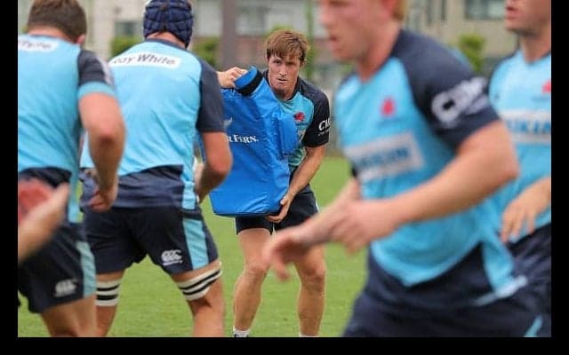  本気のワラターズ　東京でハードワーク 