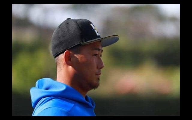 交流戦絶好調のハム中田　主将がバットで牽引「ホームランはどうでもいい」