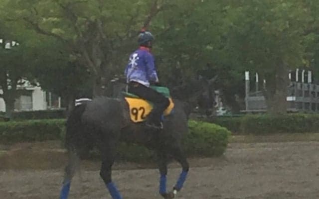 【エプソムC】アルジャンテ 集中力の持続カギ