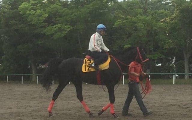 【エプソムC】トーセンマタコイヤ 立ち回りひとつでチャンス