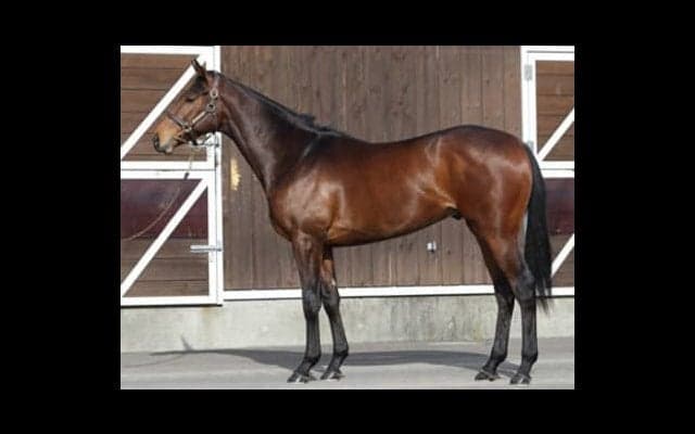 アドマイヤジャスタに乗ったスタッフ全員が「この馬は違う」と唸った