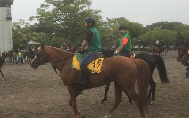 【エプソムC】マイネルミラノ 一昨年3着で軽視禁物！