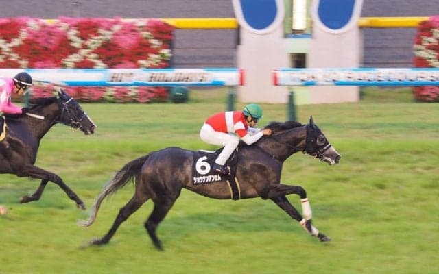 【東京10R/多摩川S】人気各馬を抑えショウナンアンセムが逃げ切り勝ち