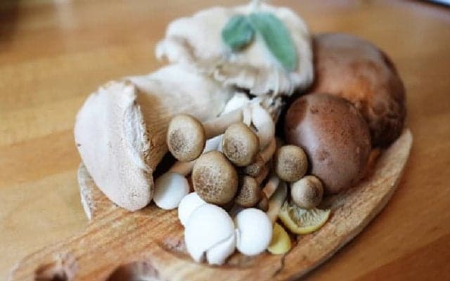 万能キノコのそれぞれの栄養比較