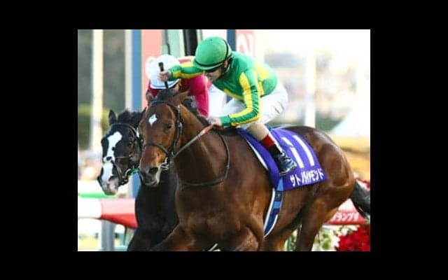 宝塚記念は、サトノダイヤモンド復活を信じていいか。マジで大丈夫か？