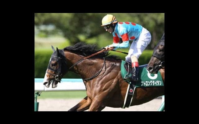 宝塚記念。夏の旅行でビジネスクラスに乗せてくれる優しい４頭がいる