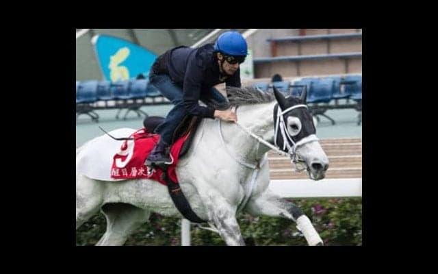宝塚記念の穴馬「この３頭半端ないって。そんなん来いひんやん、普通」