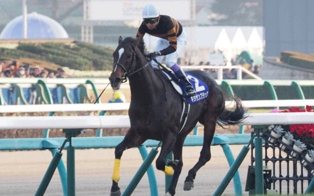 【函館9R/3歳上500万下】武豊キタサンタイドー惜しくも2着！函館競馬場ではキタサンブラック特別展示開催中