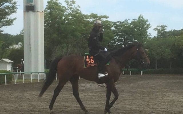 【ユニコーンS】ルヴァンスレーヴ 萩原師「前走と変わらない状態」