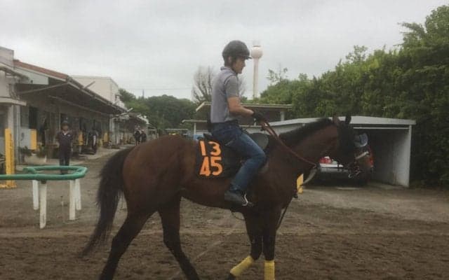 【ユニコーンS】リョーノテソーロ 芝より適性は高い