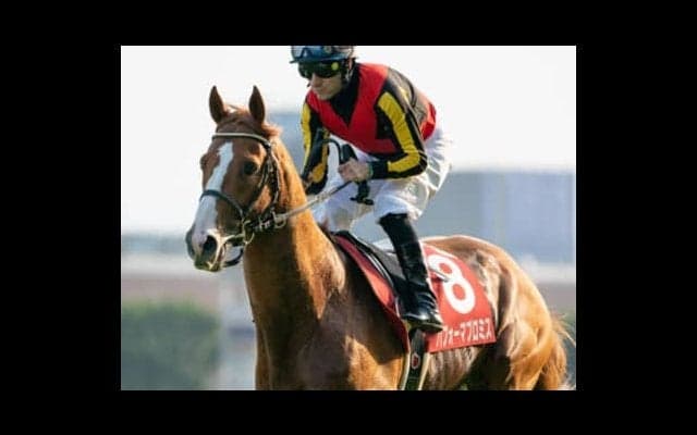 宝塚記念は実績馬に不安あり。元気ビンビンな上がり馬で前期総決算だ