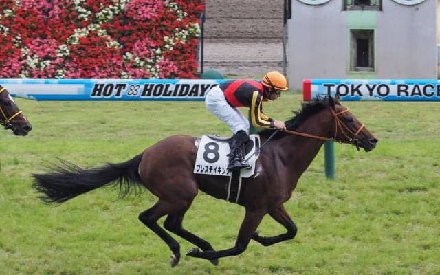 【東京8R/3歳上500万下】良血馬ブレステイキングが圧倒的人気に応える！