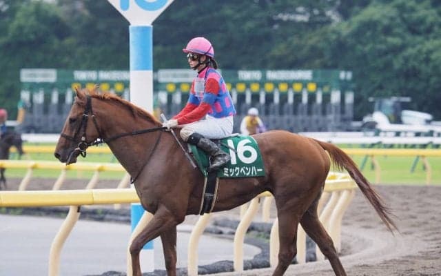 【ユニコーンS】菜七子、久々重賞挑戦も11着敗退