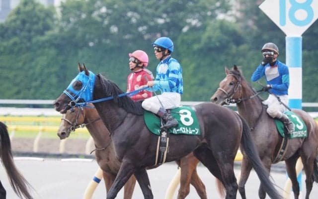 【ユニコーンS】ハーベストムーン直線挟まれ大きく後退し13着