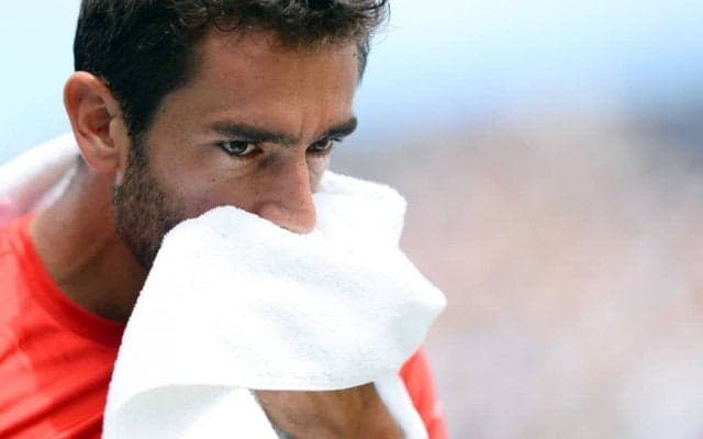 チリッチが好調キリオスを下し決勝進出。決勝ではジョコビッチに挑む[男子テニスATPワールドツアー500 ロンドン]