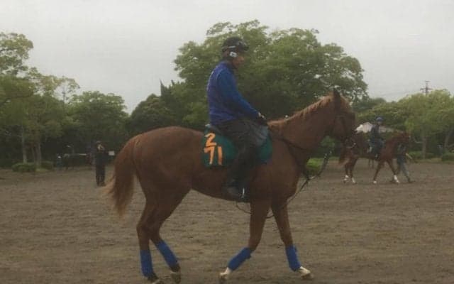 【注目新馬】土曜東京 イヴォーク