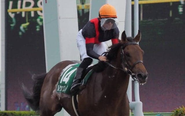 【ユニコーンS】ルメール 「力はあります」ジョッキー談話