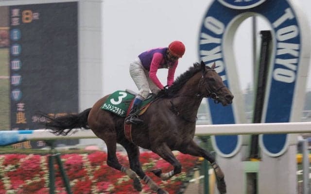【東京8R/東京ジャンプS】10番人気サーストンコラルドが5馬身差の圧勝！障害重賞初制覇