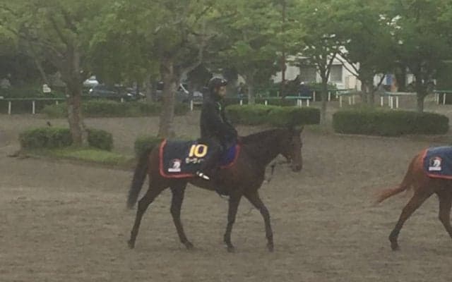 【宝塚記念】ゼーヴィント  右回りの方が競馬はしやすい