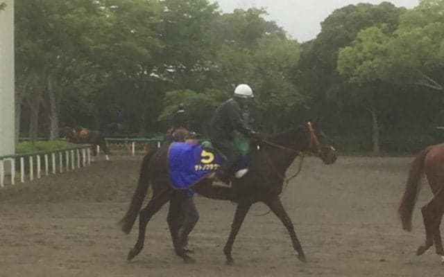 【宝塚記念】サトノクラウン  石橋脩と新コンビで復活狙う