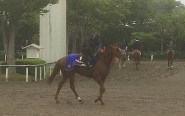 【宝塚記念】アルバート2200mも守備範囲