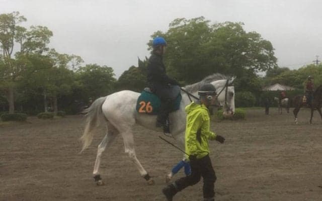 【注目新馬】ハヤヤッコ