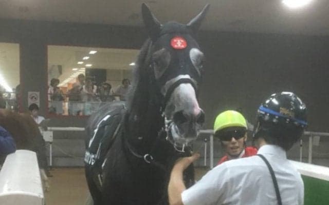 【パラダイスS】藤沢和師「落鉄する場面あった」関係者コメント