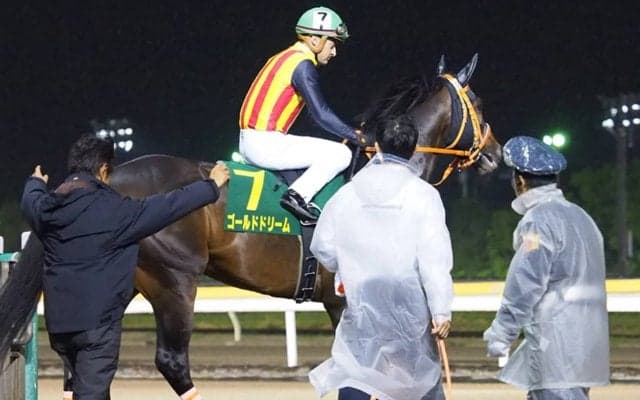 【帝王賞】ゴールドドリームは3枠4番