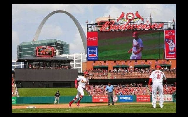 【MLB】昨季は猫、今季は…カージナルス球場スタッフ襲った爆笑必至、まさかの珍事