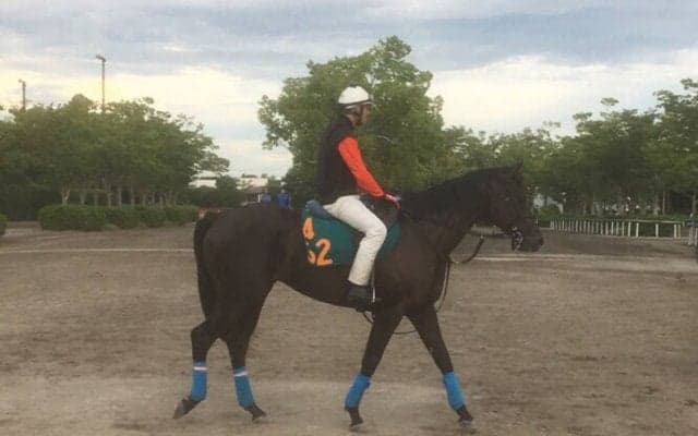 【注目新馬】ニシノゴウウン