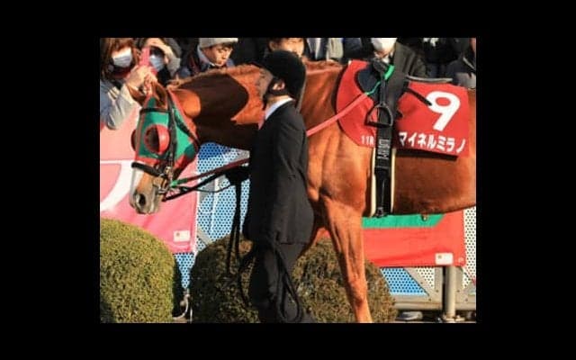 七夕賞であなたの願いを叶えるのは、穴党記者が「短冊に記した４頭」