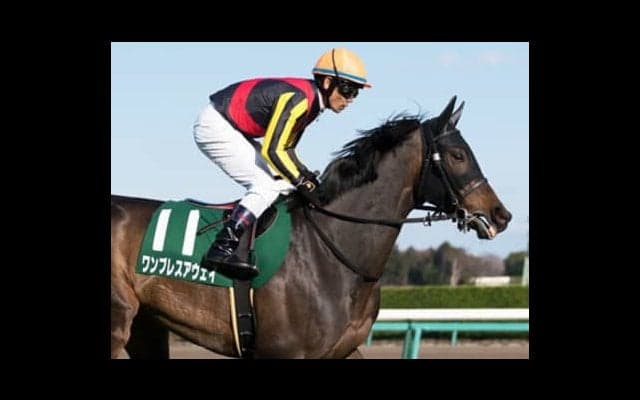 七夕賞で年に一度の万馬券。今年の「織姫馬」はワンブレスアウェイだ