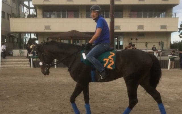 【注目新馬】ロジャーズクライ