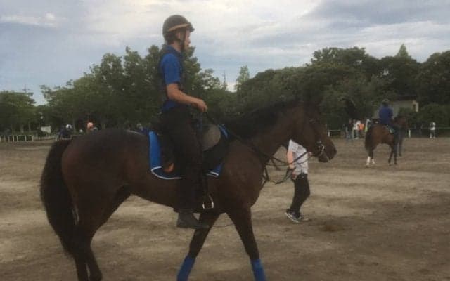 【ラジオNIKKEI賞】エイムアンドエイム 転厩初戦も実力は確か