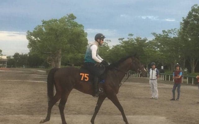 【ラジオNIKKEI賞】イェッツト 重賞でもヒケを取らない