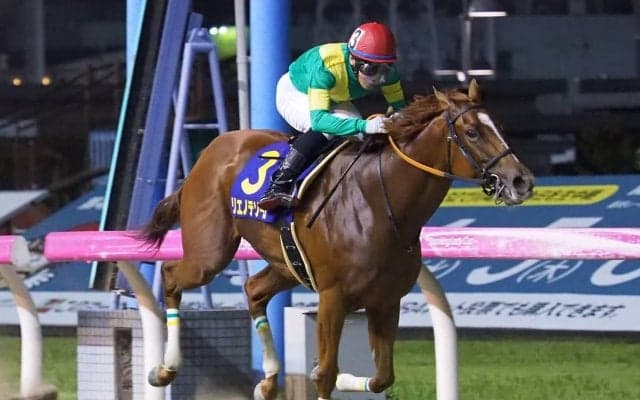 【川崎11R/スパーキングレディーC】リエノテソーロがダートで復活！早め先頭から押し切る