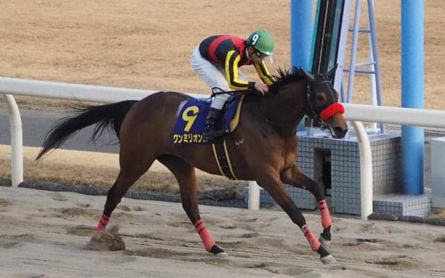 【スパーキングレディC】枠順 ラビットランは6枠9番 ワンミリオンスは6枠8番