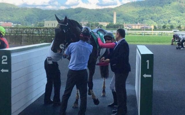 【ラジオNIKKEI賞】石橋脩「誤算だったのが…」ジョッキーコメント