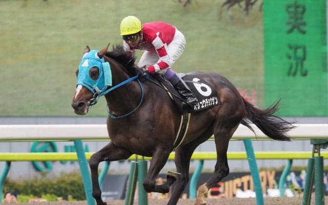 【福島9R/開成山特別】障害の絶対王者オジュウチョウサンが異例の参戦！開成山特別で平地競走初勝利！