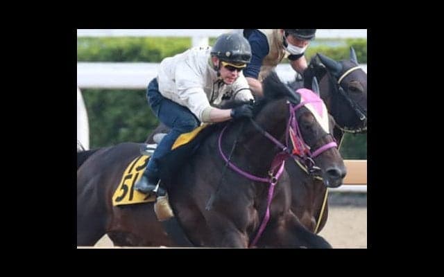 荒れる函館記念。巴賞組２頭と洋芝巧者１頭が「ボチボチ勝つ」と立候補