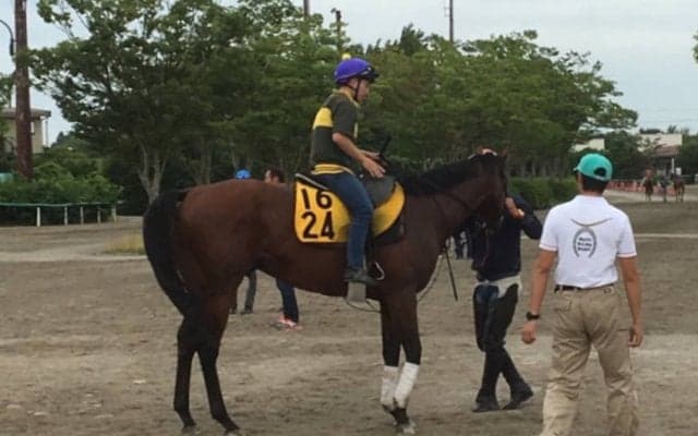 【プロキオンS】ブラゾンドゥリス 武藤雅の手腕に注目